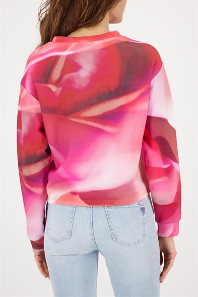 410432 spring flower gemustert