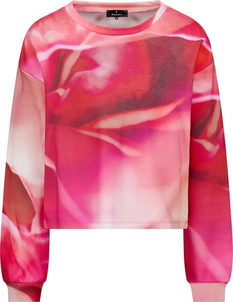 410432 spring flower gemustert