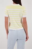 410491 pastel yellow ringel