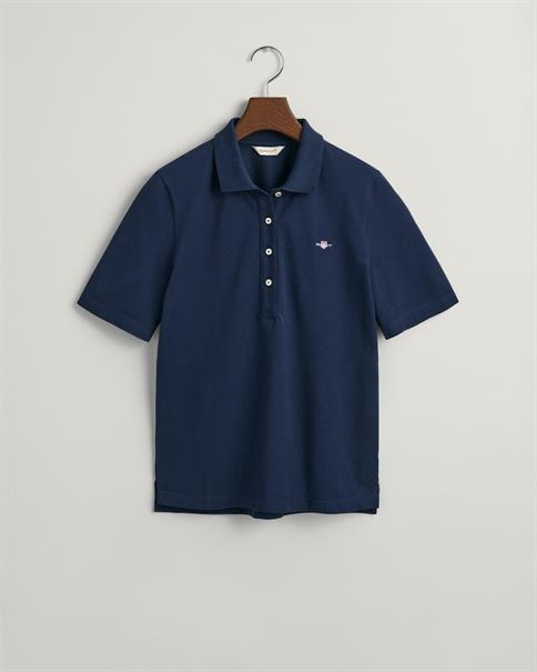 4202231 evening blue