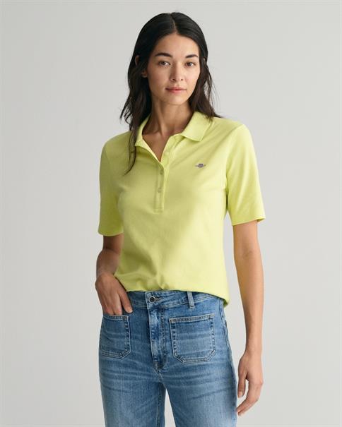 4202231 pastel lime