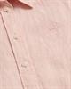 4300277 guava orange
