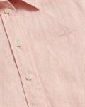 4300277 guava orange