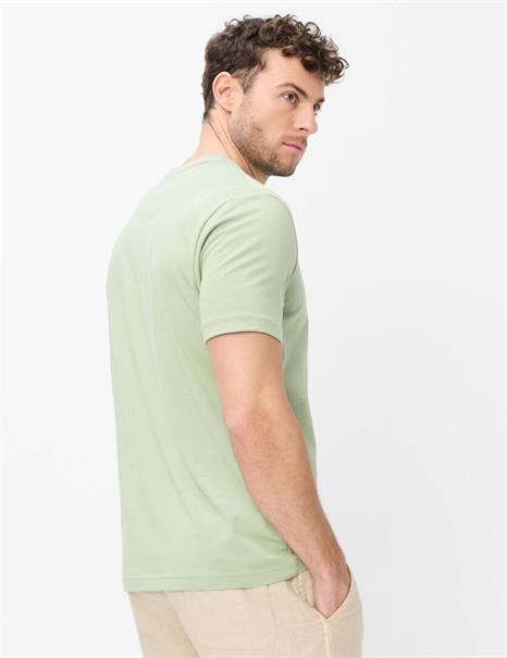 70-0008-TED herb