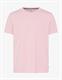 70-0008-TED smooth rose