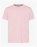70-0008-TED smooth rose