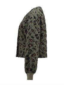 7832 khaki leo