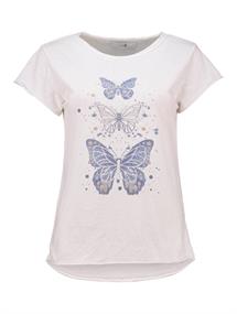 8060 blue butterflies