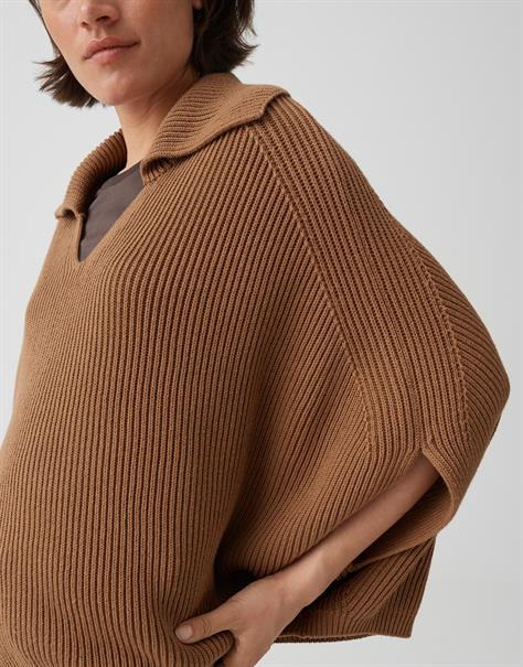 Acookie cape ginger bread
