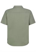 agave green