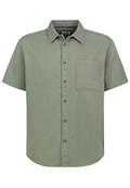 agave green