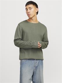 agave green