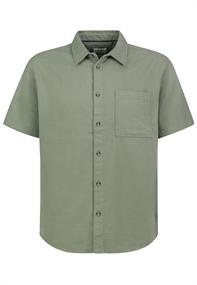 agave green