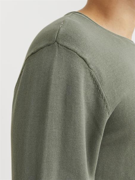 agave green