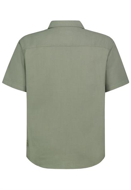 agave green