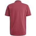 American Classic Polo dry rose