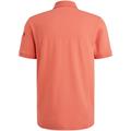 American Classic polo porcelain rose