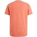 American Classic tee porcelain rose