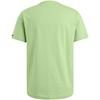 American Classic tee quiet green