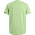 American Classic tee quiet green