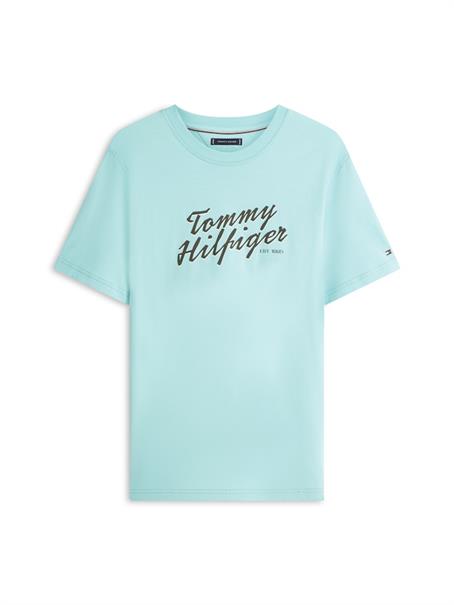 arctic aqua