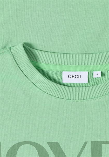 B303418 fennel green