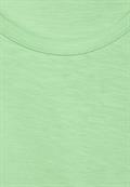 B321116 matcha lime