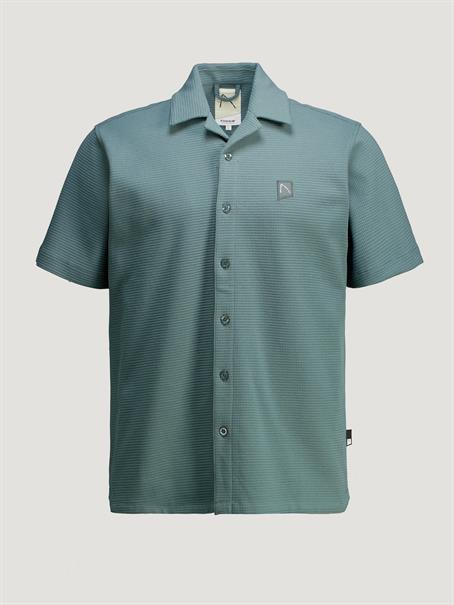 balsam green