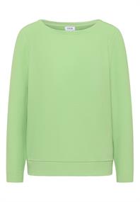 bamboo green