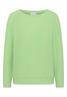 bamboo green