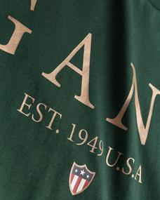 Banner Shield Graphic T-Shirt tartan green