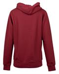 Banner Shield Hoodie plumped red