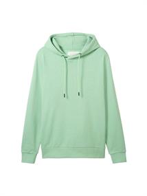 Basic Hoodie paradise mint