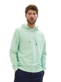 Basic Hoodie paradise mint