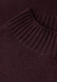 Basic Turtleneck Pullover jazz berry
