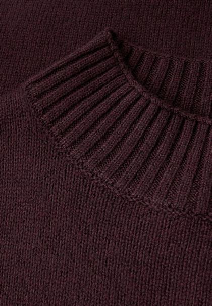 Basic Turtleneck Pullover jazz berry