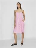 begonia pink