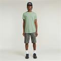 birds egg green gd