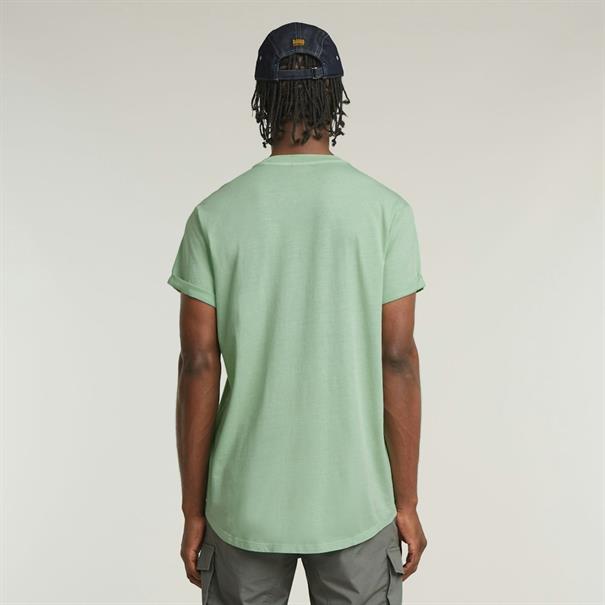 birds egg green gd