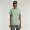 birds egg green gd