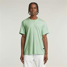 birds egg green