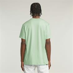 birds egg green