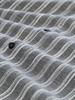 black greyish stripe