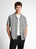 black greyish stripe