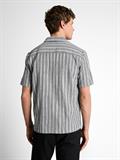 black greyish stripe