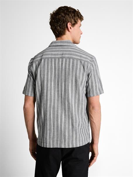 black greyish stripe