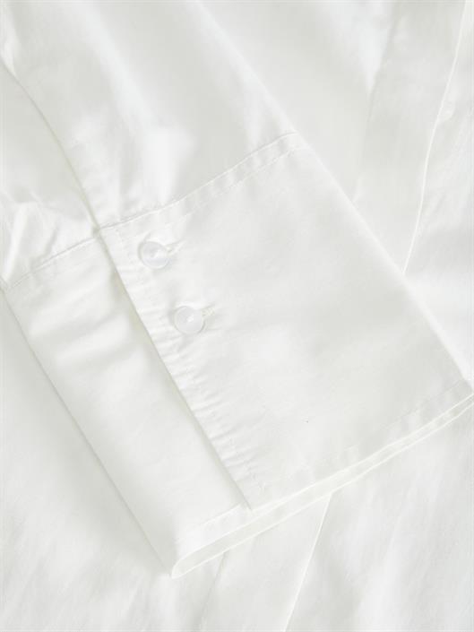blanc-de-blanc