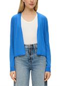 blau1