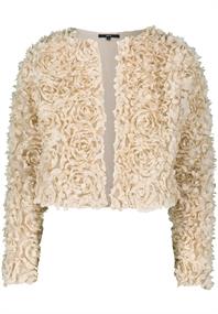 Blazer french oak
