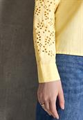 blend yellow